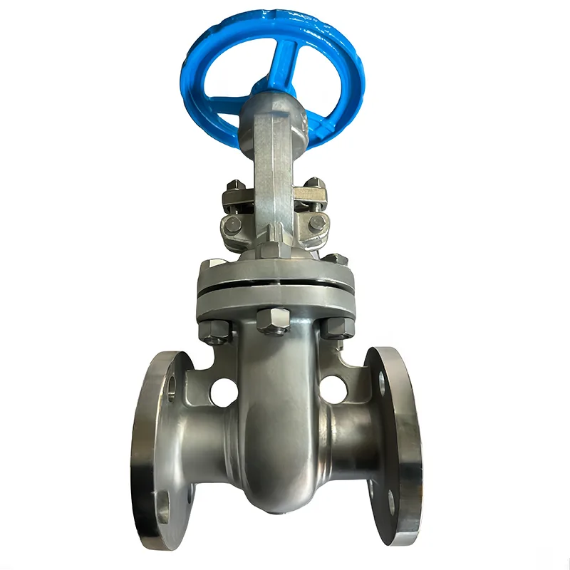 Дат баспас болоттон жасалган API Flanged Gate Valve